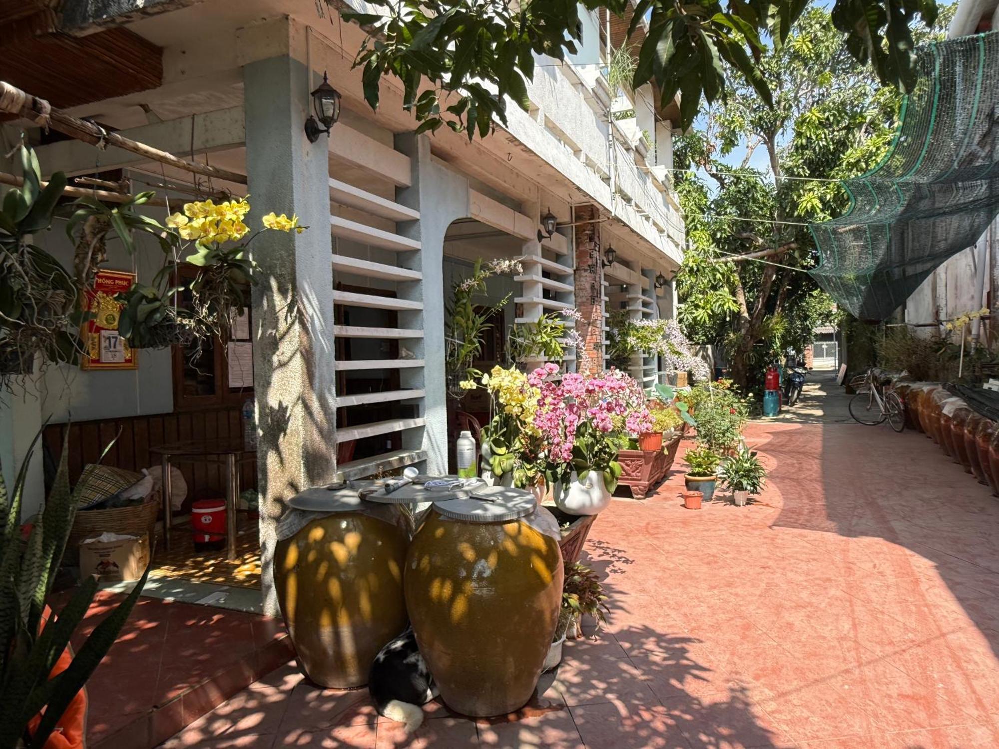 Island Homestay Tien Giang Mỹ Tho Zewnętrze zdjęcie